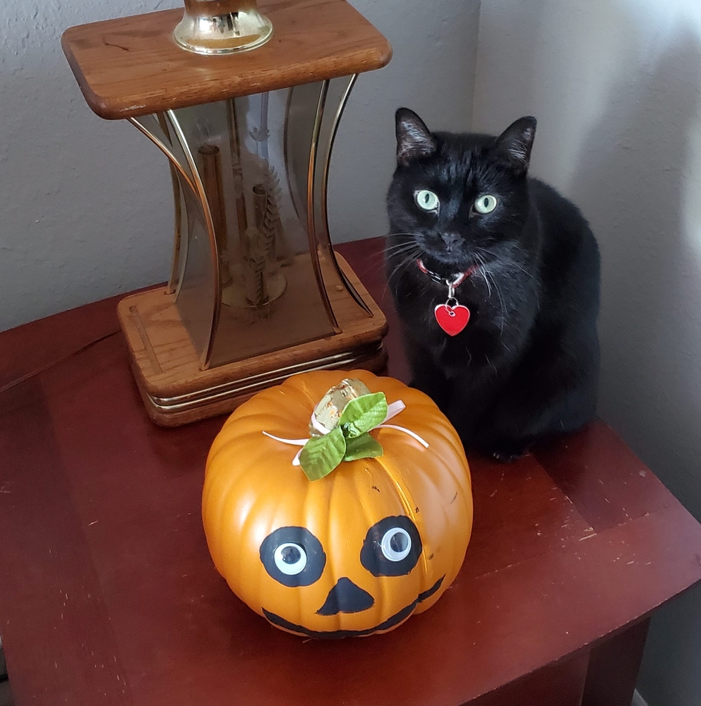 Meet your Posher, Nancy